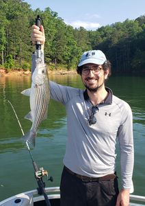 Lake Allatoona fishing