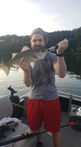 Lake Allatoona fishing