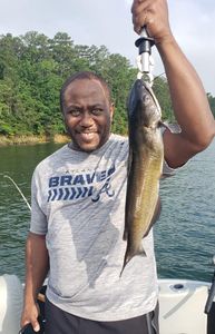 Lake Allatoona charter fishing
