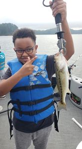 Quality Bass fishing in lake Allatoona