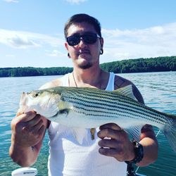 Stripers from Lake Allatoona