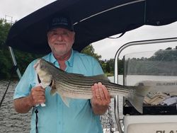 Fishing in lake Allatoona