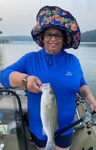 Striper fishing in lake Allatoona