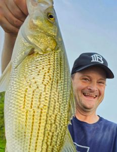 Wiper (hybrid striped bass) caught in Acworth