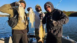 Three striped bass, channel catfish, and wiper (hybrid striped bass) caught while fishing in GA