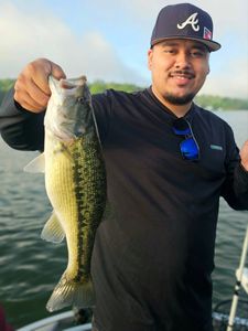 Largemouth bass caught while fishing in GA