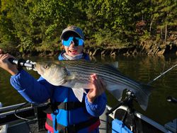 Striped bass caught in Acworth
