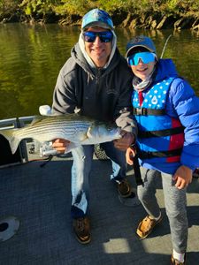 Striped bass caught while fishing in GA
