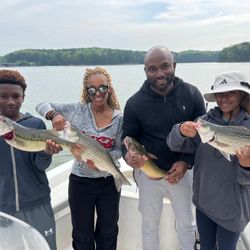 4 striped bass caught fishing in GA