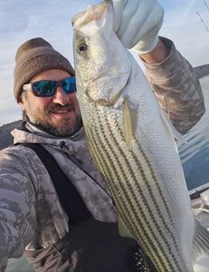 Striped bass caught on a fishing trip in GA