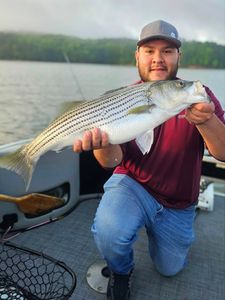 Striped Bass caught in GA