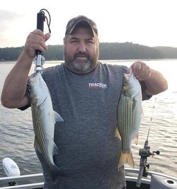 Two striped bass caught while fishing in GA