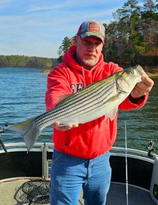 Striped bass caught in GA