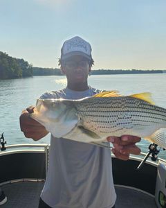 One wiper (hybrid striped bass) fish caught in Acworth