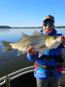 Wiper (hybrid striped bass) caught in Acworth