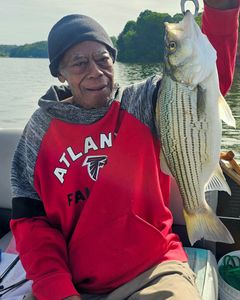 Wiper (Hybrid striped bass) fish caught in Georgia