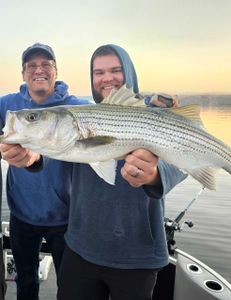 Wiper (Hybrid striped bass) fish caught in GA