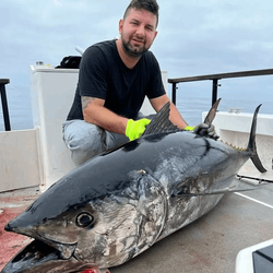 long beach fishing trips, Great Tuna Fishing