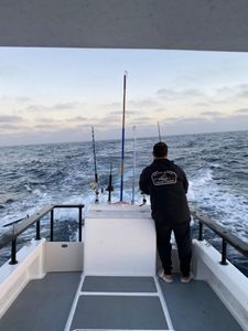 Join us for your next deep sea fishing charters!