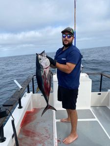 Tuna Caught in California