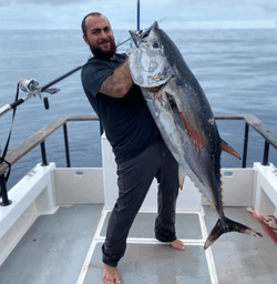 Big fish caught in CA