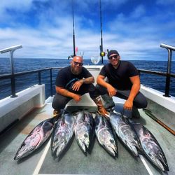 6 blackfin tuna fish caught in Long Beach