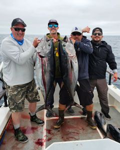 3 yellowfin and blackfin tunas caught on fishing trip in Long Beach