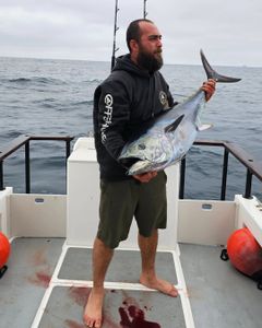 Yellowfin tuna caught in Long Beach