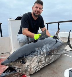 A large, impressive Yellowfin Tuna caught during a fishing trip in Long Beach