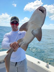 Bonnethead shark caught while fishing in FL