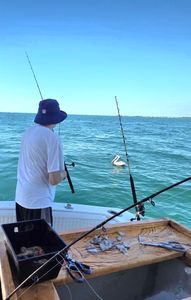Scenic fishing spot in FL