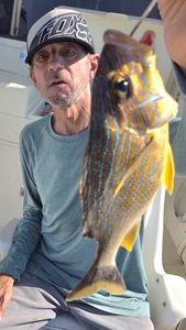 Angler with a fish in FL