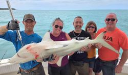 Blacktip shark caught during fishing charter in Key West FL