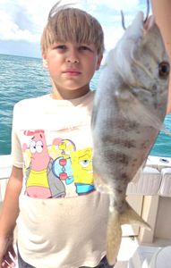 Jolthead Porgy caught fishing in Key West Florida