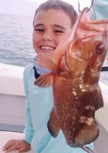 Angler fishing for a red grouper in Florida