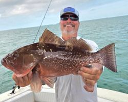 Red Grouper fish caught while fishing in FL