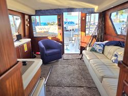 Scenic view of Florida landscape