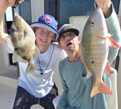 Two grey triggerfish and mutton snapper in FL