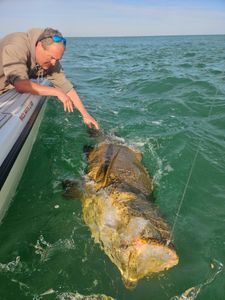 Best Key West fishing charters!