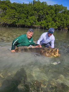 Unforgettable Key West fishing charters.