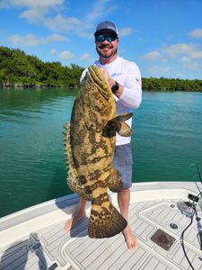 Book top Key West fishing charters!