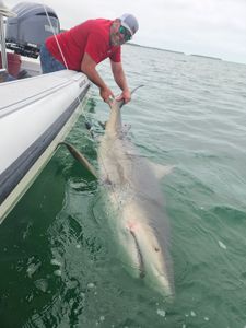 Guided Key West fishing charters.