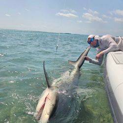Chasing giants in paradise! 