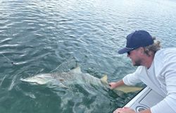 Angler fishing on Stock Island