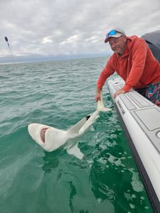One angler fishing in Florida