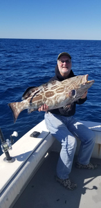 A fisherman holding a large black grouper fish in Florida