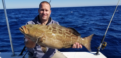 Photograph of a Black Grouper fish caught in Stock Island