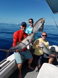 3 cobia fish caught while fishing in FL