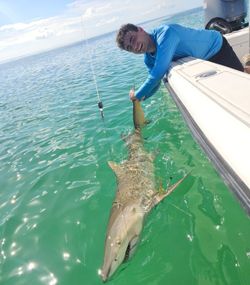 Fishing adventure in FL
