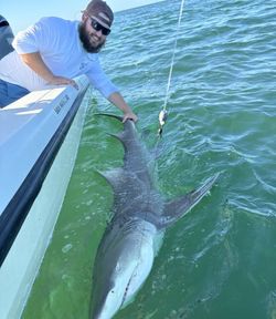 Angler fishing on Stock Island